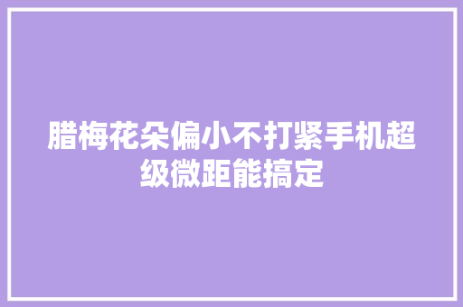 腊梅花朵偏小不打紧手机超级微距能搞定