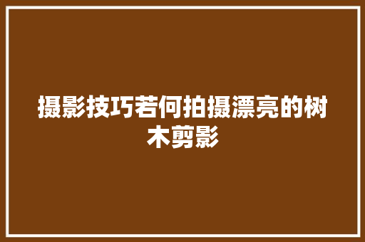 摄影技巧若何拍摄漂亮的树木剪影 摄影技巧若何拍摄漂亮的树木剪影