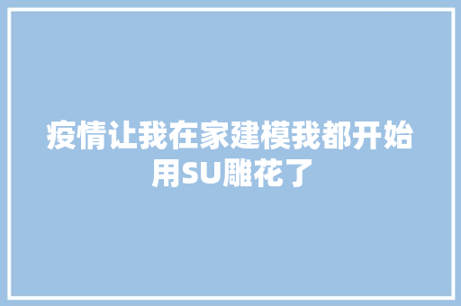 疫情让我在家建模我都开始用SU雕花了