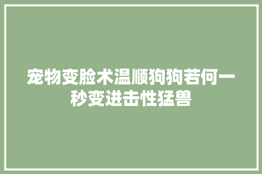 宠物变脸术温顺狗狗若何一秒变进击性猛兽