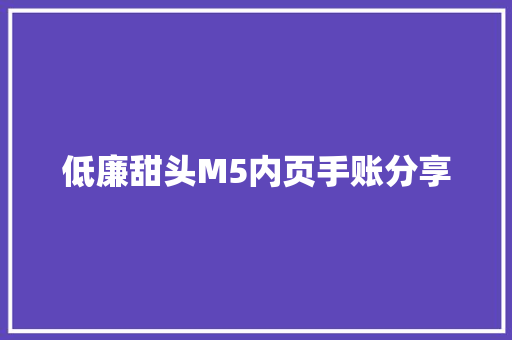 低廉甜头M5内页手账分享