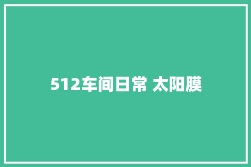 512车间日常 太阳膜
