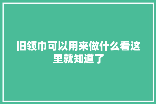 旧领巾可以用来做什么看这里就知道了
