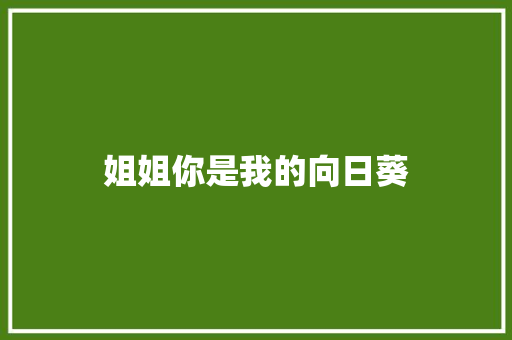 姐姐你是我的向日葵