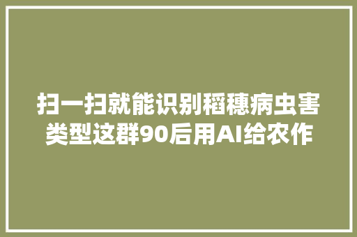 扫一扫就能识别稻穗病虫害类型这群90后用AI给农作物看病