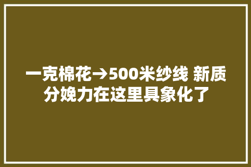一克棉花→500米纱线 新质分娩力在这里具象化了