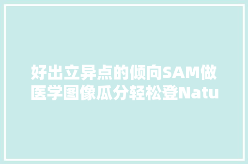 好出立异点的倾向SAM做医学图像瓜分轻松登Nature