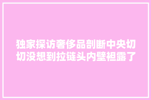 独家探访奢侈品剖断中央切切没想到拉链头内壁袒露了高仿LV