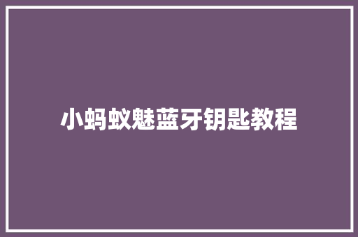 小蚂蚁魅蓝牙钥匙教程