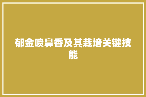 郁金喷鼻香及其栽培关键技能