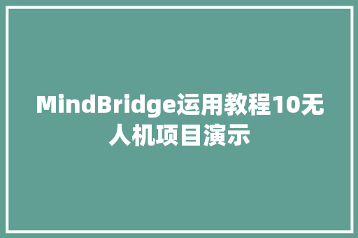 MindBridge运用教程10无人机项目演示