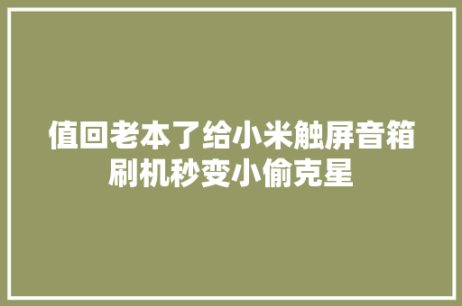 值回老本了给小米触屏音箱刷机秒变小偷克星