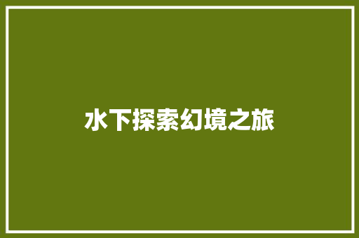 水下探索幻境之旅