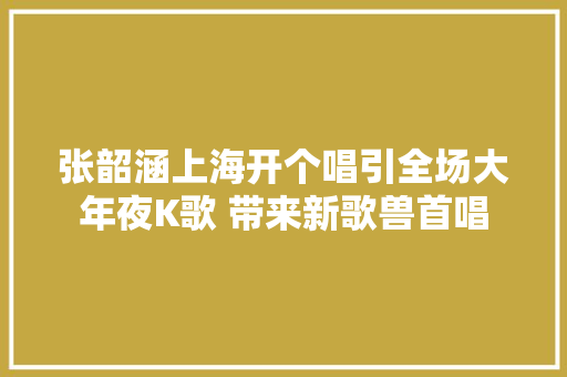 张韶涵上海开个唱引全场大年夜K歌 带来新歌兽首唱