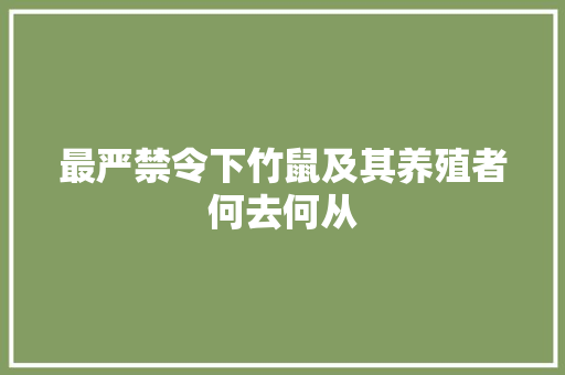 最严禁令下竹鼠及其养殖者何去何从