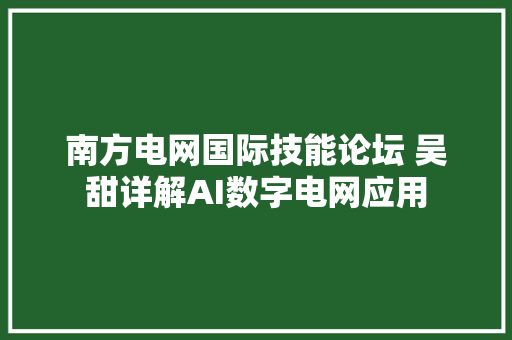 南方电网国际技能论坛 吴甜详解AI数字电网应用