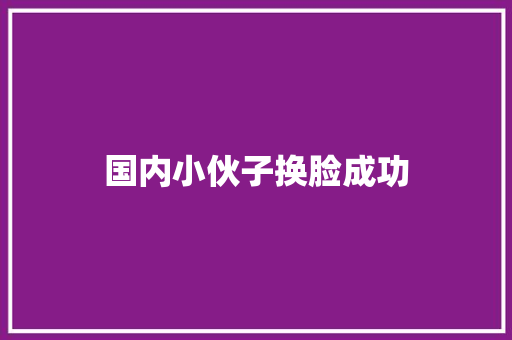 国内小伙子换脸成功