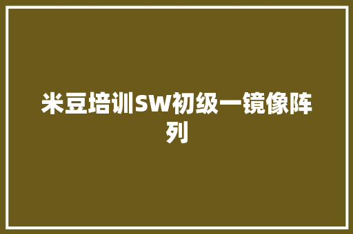 米豆培训SW初级一镜像阵列