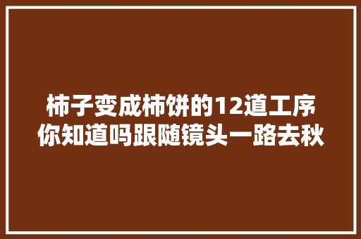 柿子变成柿饼的12道工序你知道吗跟随镜头一路去秋收冬藏