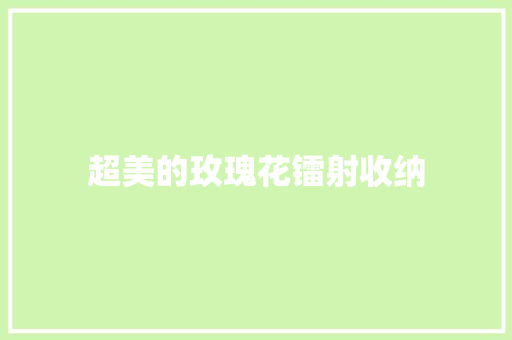 超美的玫瑰花镭射收纳