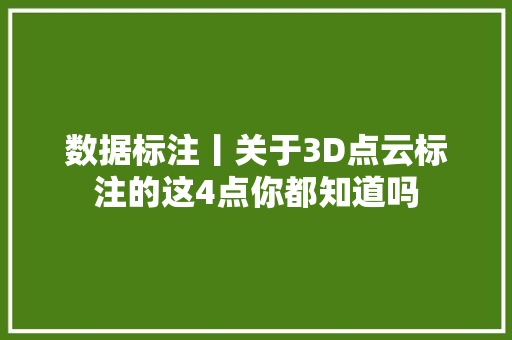 数据标注丨关于3D点云标注的这4点你都知道吗