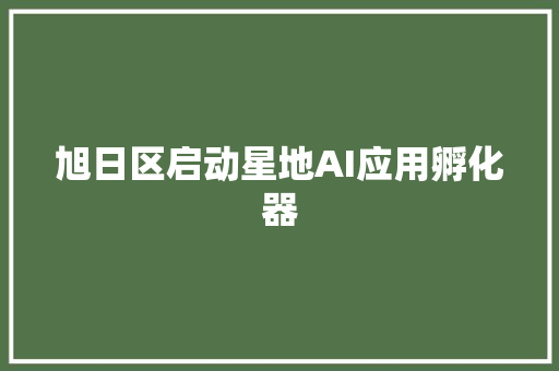 旭日区启动星地AI应用孵化器