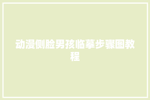 动漫侧脸男孩临摹步骤图教程