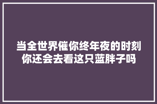 当全世界催你终年夜的时刻你还会去看这只蓝胖子吗