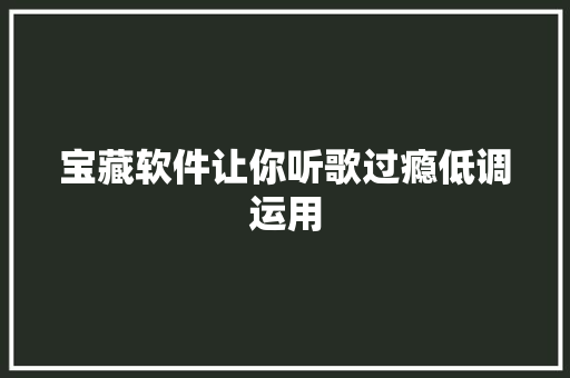 宝藏软件让你听歌过瘾低调运用