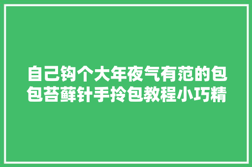 自己钩个大年夜气有范的包包苔藓针手拎包教程小巧精致有型有款