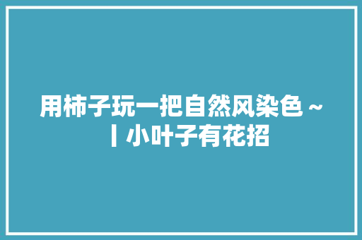 用柿子玩一把自然风染色～丨小叶子有花招