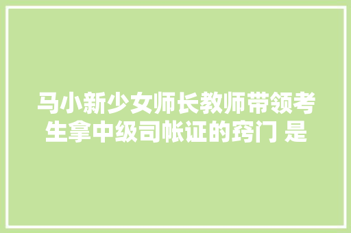 马小新少女师长教师带领考生拿中级司帐证的窍门 是大年夜白话传授教化