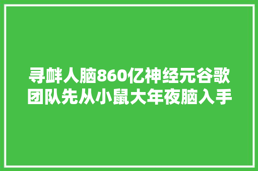 寻衅人脑860亿神经元谷歌团队先从小鼠大年夜脑入手AI算法立大年夜功