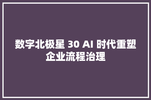 数字北极星 30 AI 时代重塑企业流程治理
