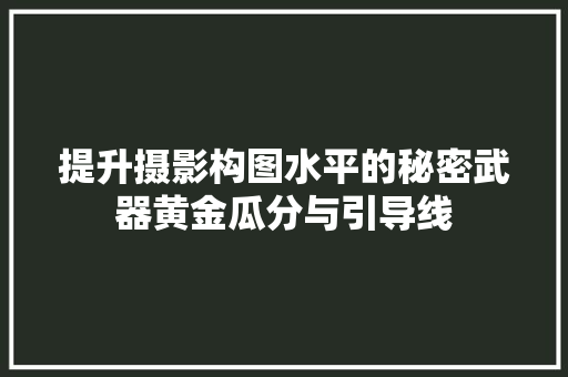 提升摄影构图水平的秘密武器黄金瓜分与引导线