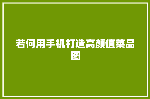 若何用手机打造高颜值菜品图