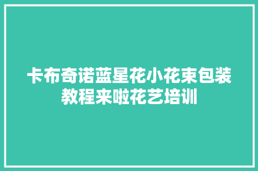 卡布奇诺蓝星花小花束包装教程来啦花艺培训