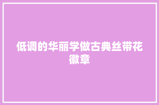 低调的华丽学做古典丝带花徽章