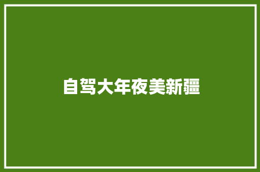 自驾大年夜美新疆