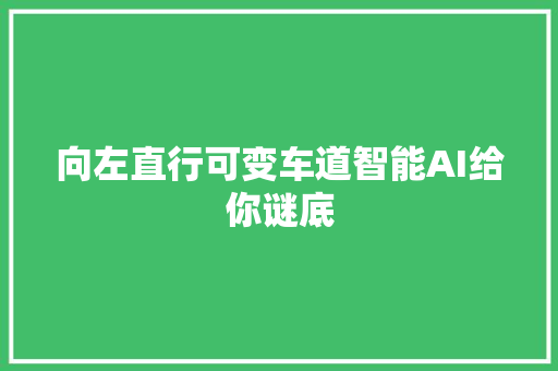 向左直行可变车道智能AI给你谜底