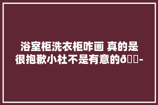 浴室柜洗衣柜咋画 真的是很抱歉小杜不是有意的😭