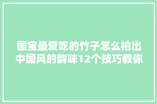 国宝最爱吃的竹子怎么拍出中国风的韵味12个技巧教你