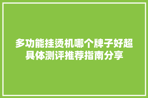 多功能挂烫机哪个牌子好超具体测评推荐指南分享