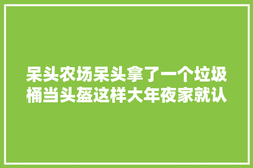 呆头农场呆头拿了一个垃圾桶当头盔这样大年夜家就认不出他了