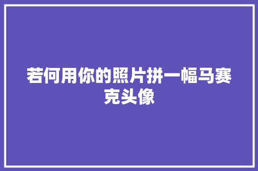 若何用你的照片拼一幅马赛克头像
