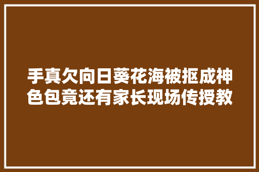 手真欠向日葵花海被抠成神色包竟还有家长现场传授教化