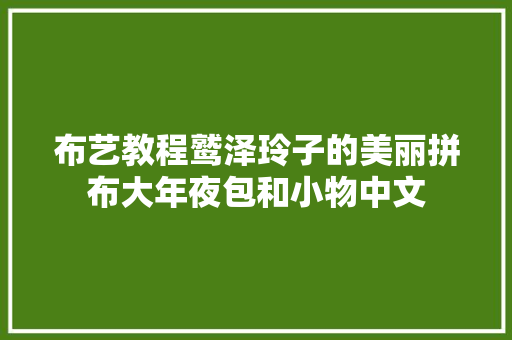 布艺教程鹫泽玲子的美丽拼布大年夜包和小物中文