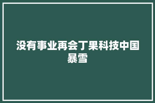 没有事业再会丁果科技中国暴雪