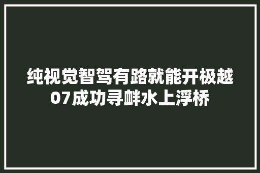 纯视觉智驾有路就能开极越07成功寻衅水上浮桥