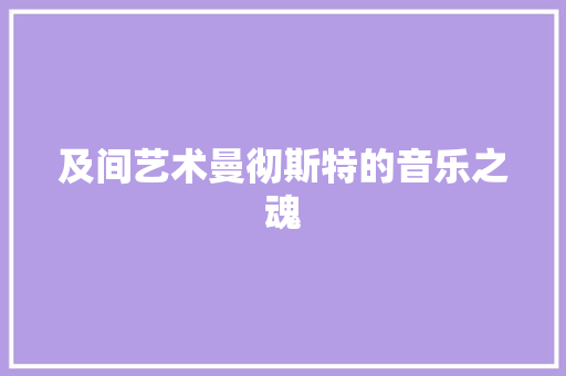 及间艺术曼彻斯特的音乐之魂